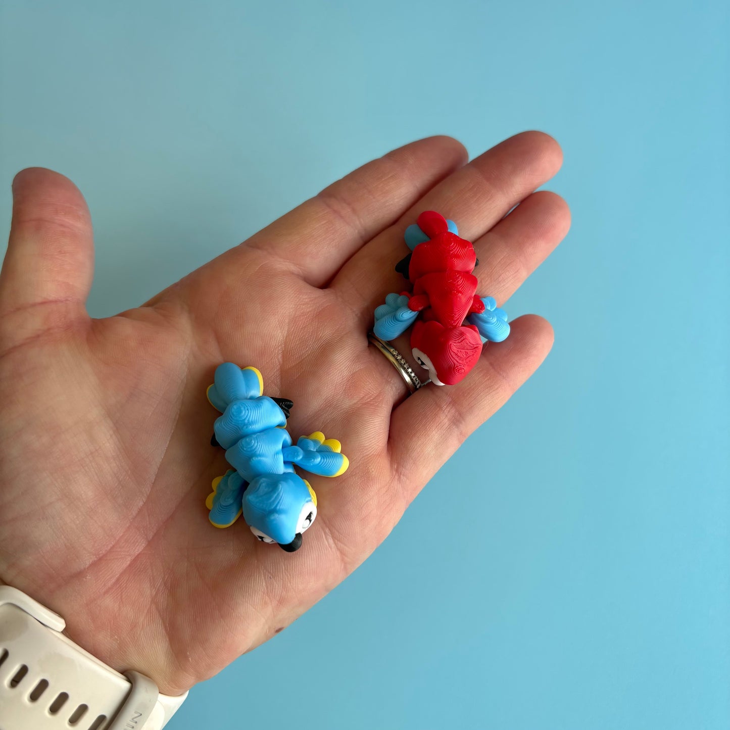 Mini Macaws
