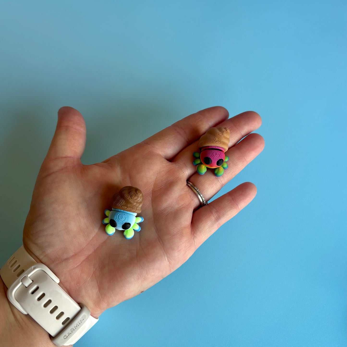 Mini Hermit Crab