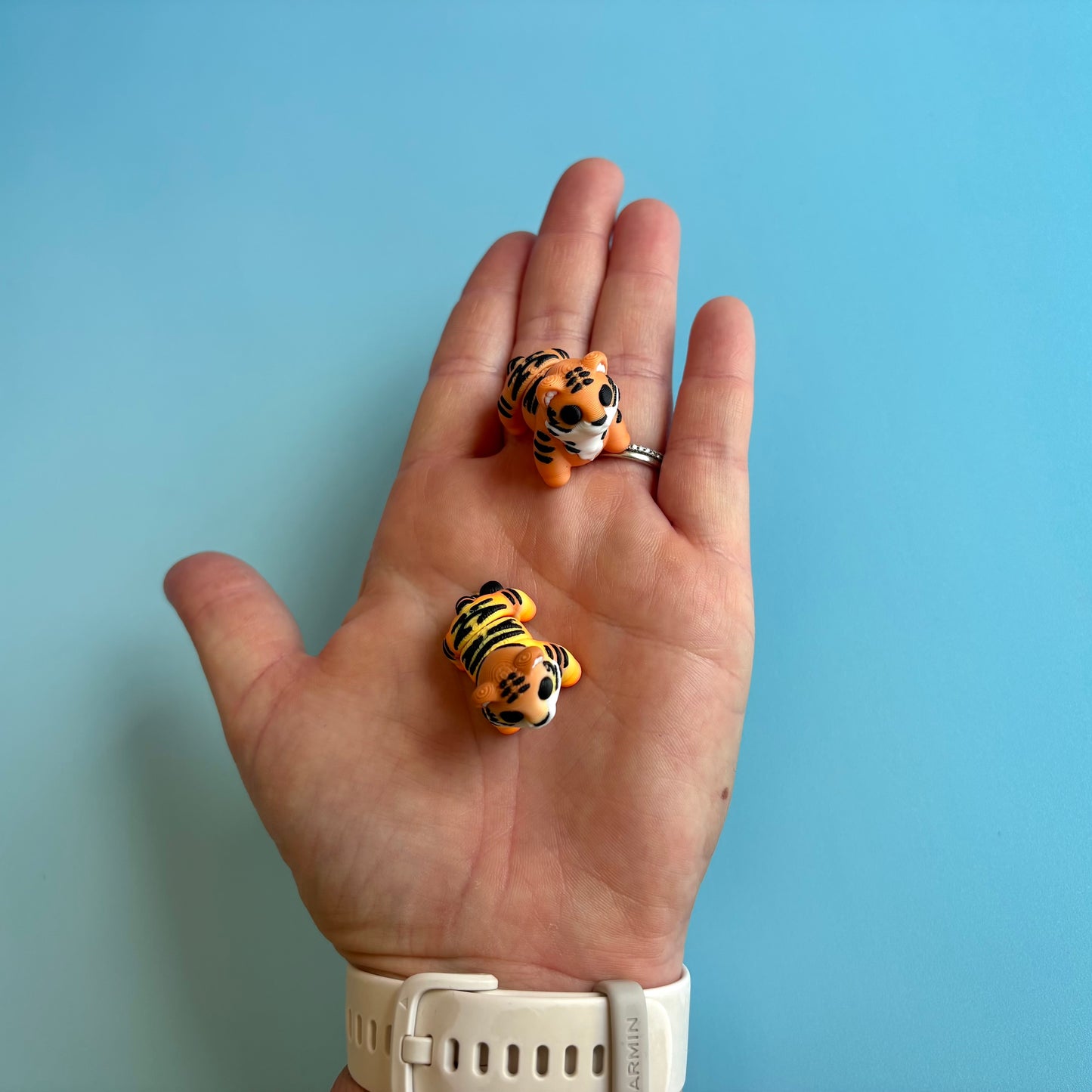 Mini Tiger 1.0