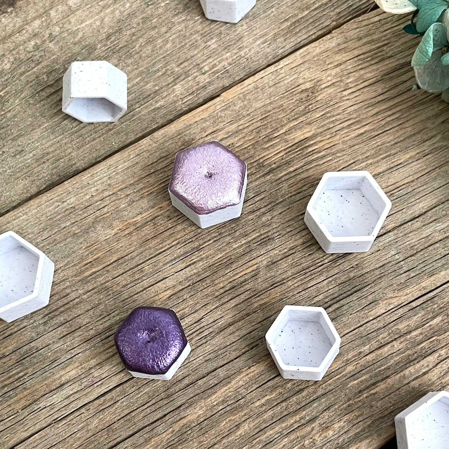 Empty Paint Pans - Fantasy Forest 3D