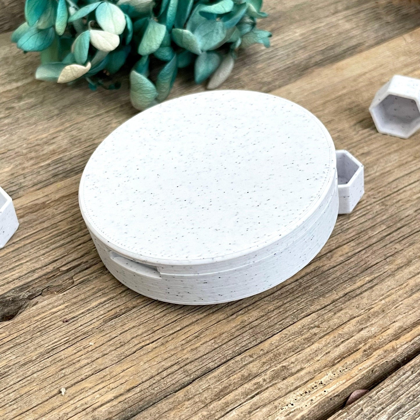 Small Hexagon Pan Case - Fantasy Forest 3D