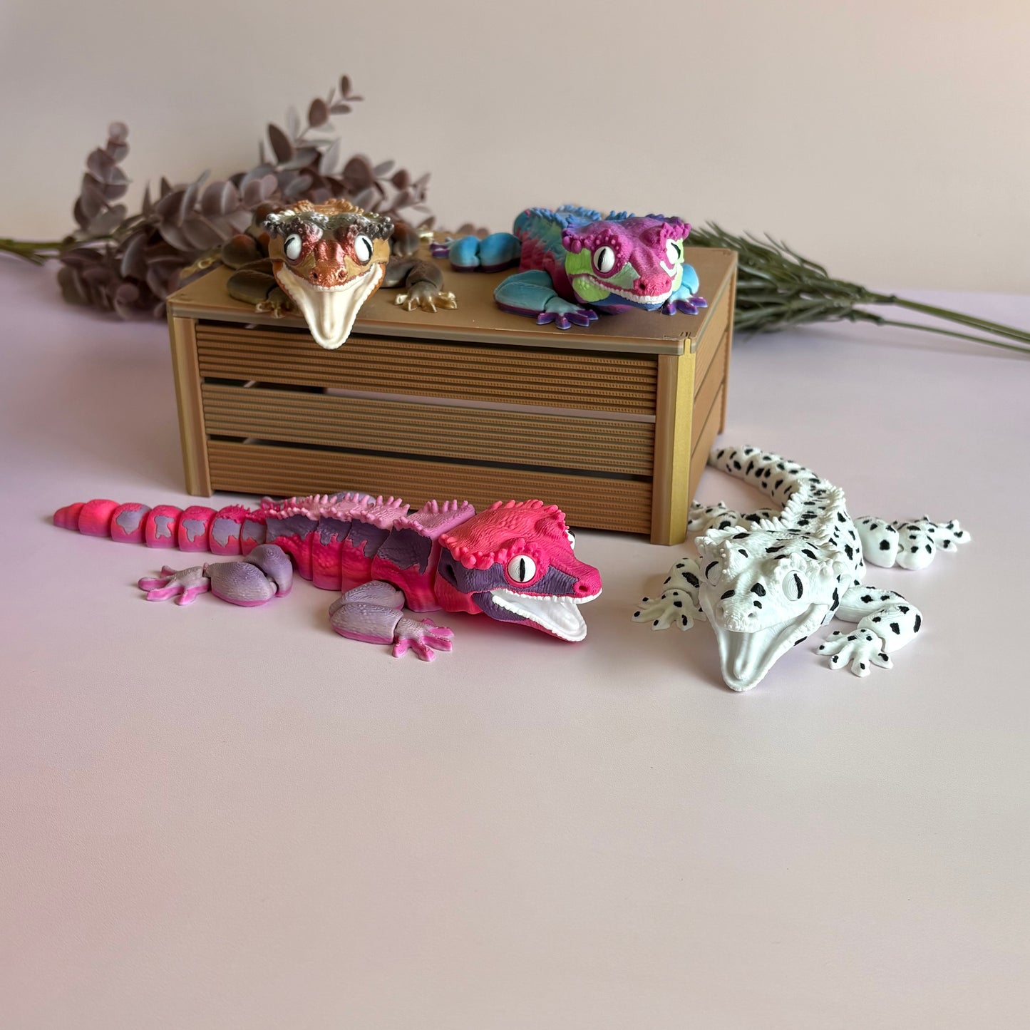 Crested Gecko (Dalmation)