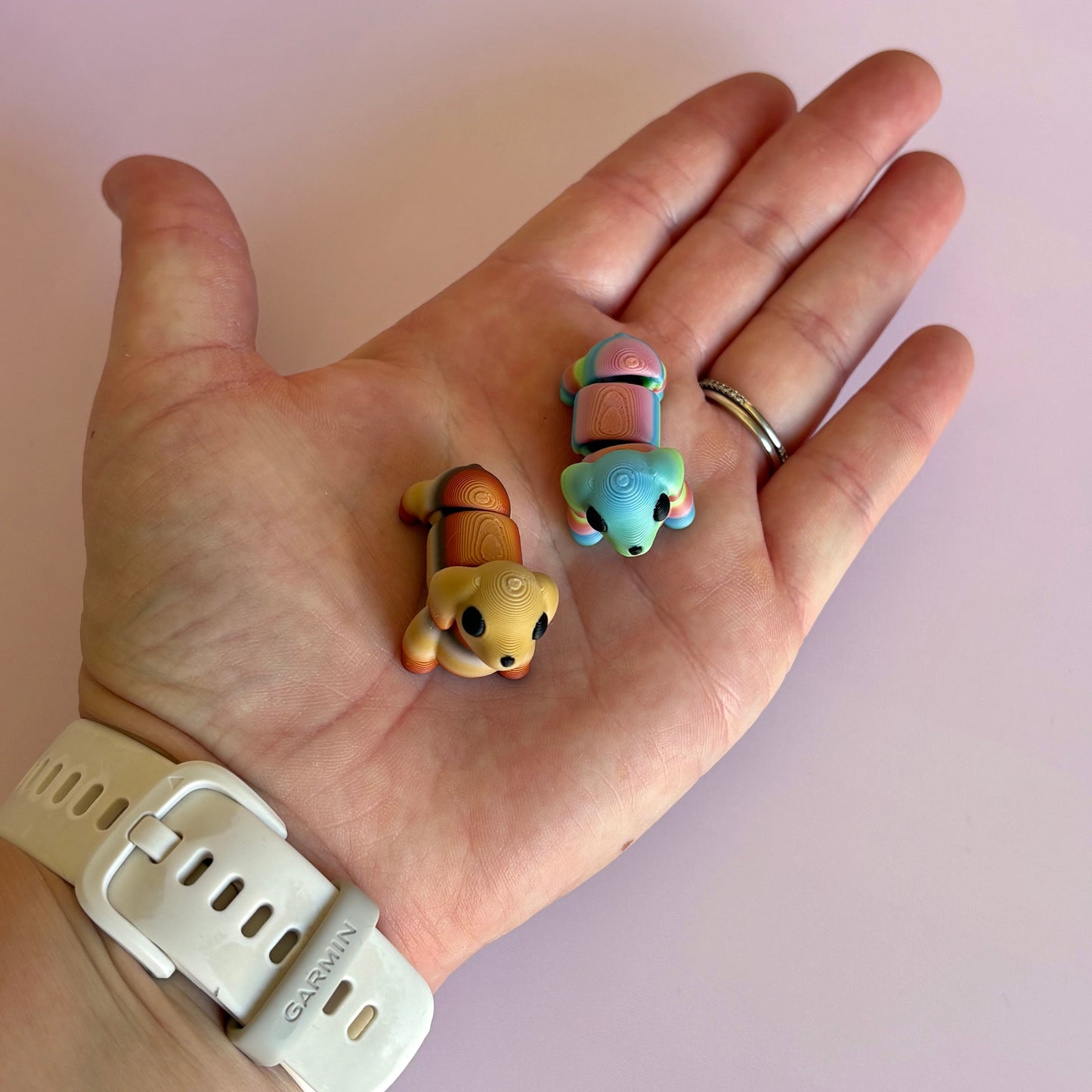 Mini Dachshund