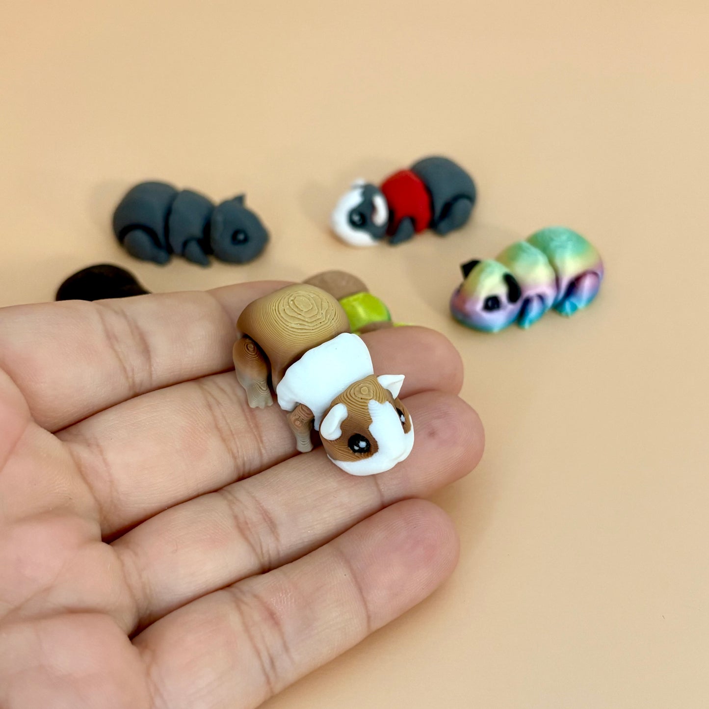 Mini Guinea Pig