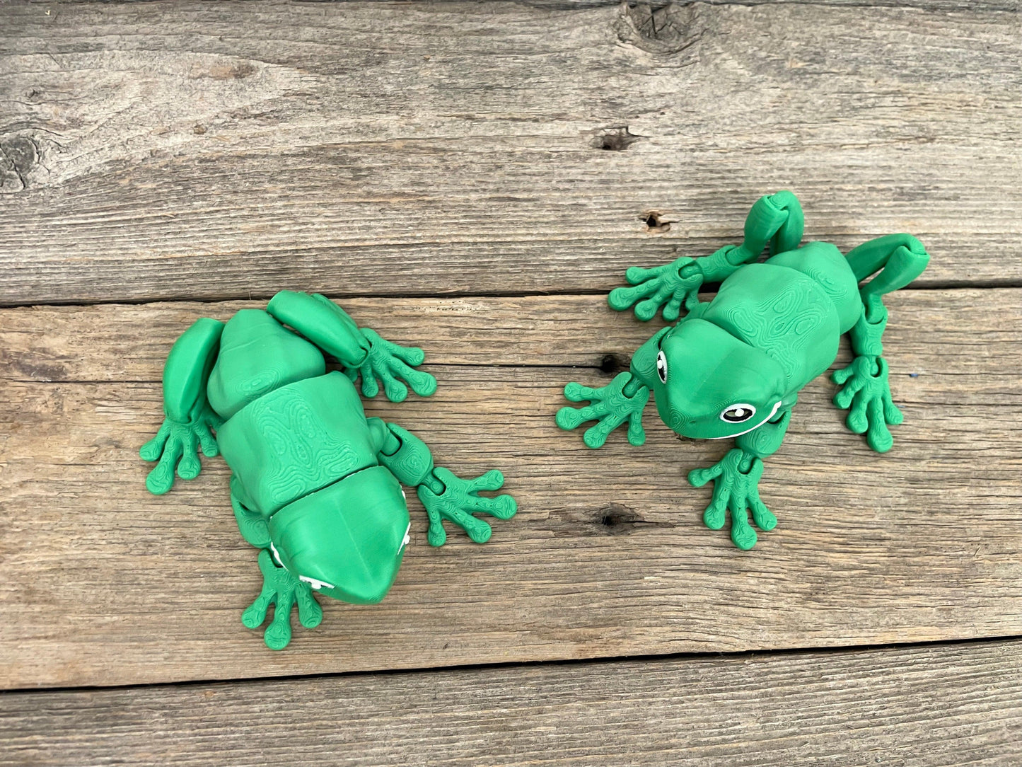 Green Tree Frog - Fantasy Forest 3D