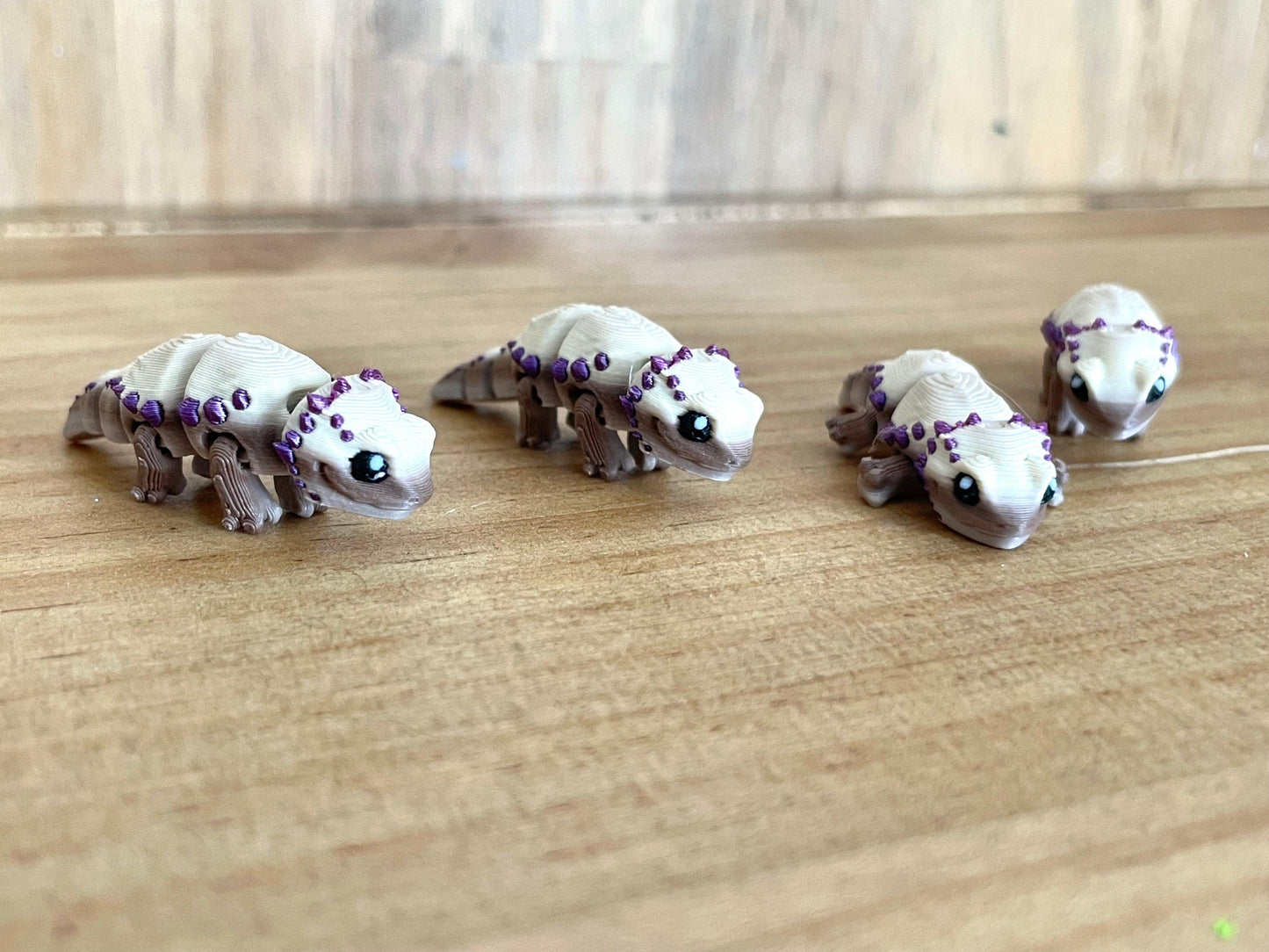 Teeny Tiny Bearded Dragons - Fantasy Forest 3D