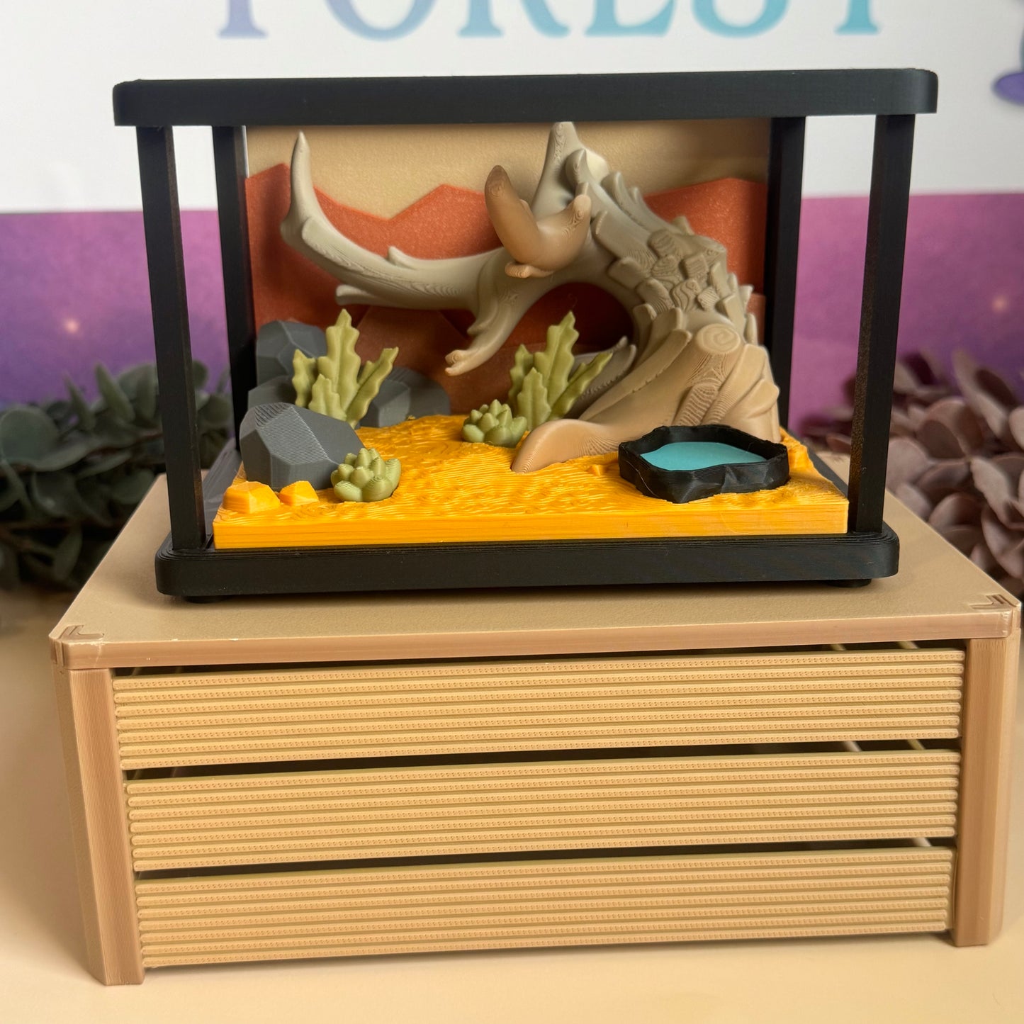 Desert Scape Display