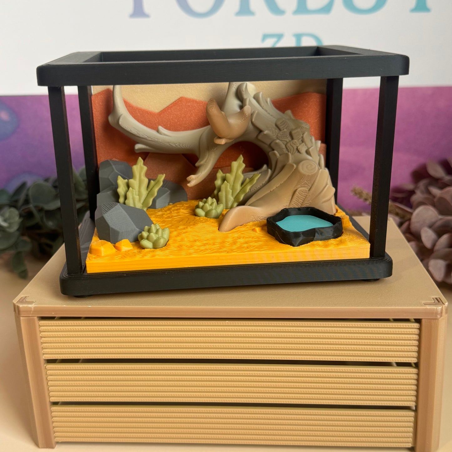 Desert Scape Display