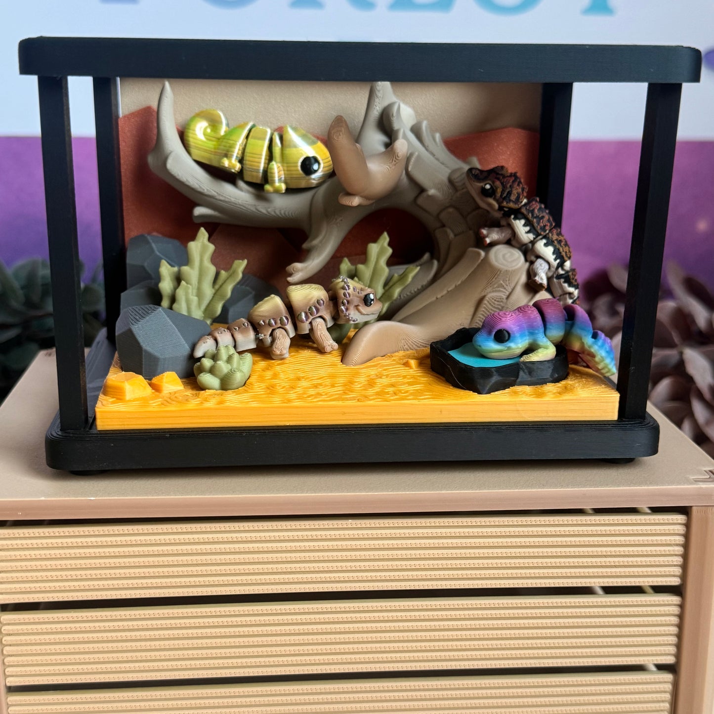 Desert Scape Display