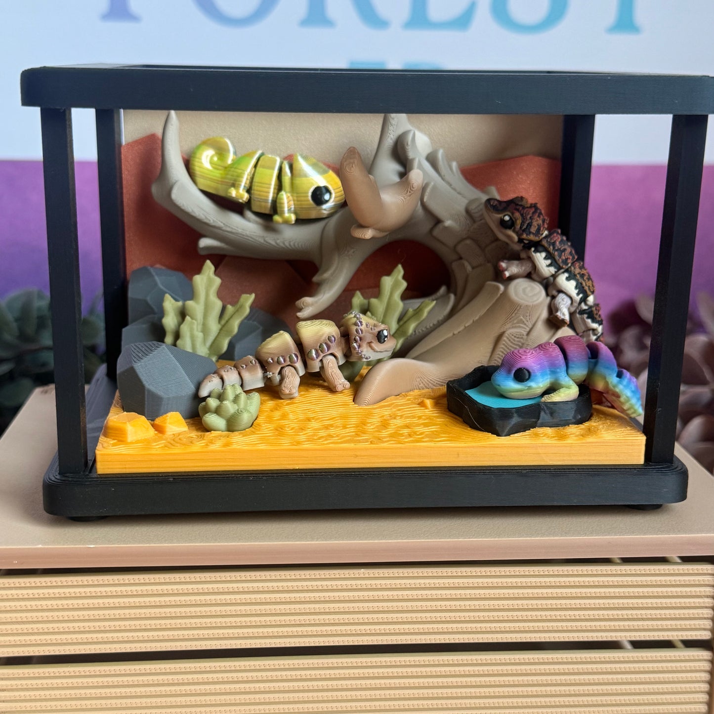Desert Scape Display