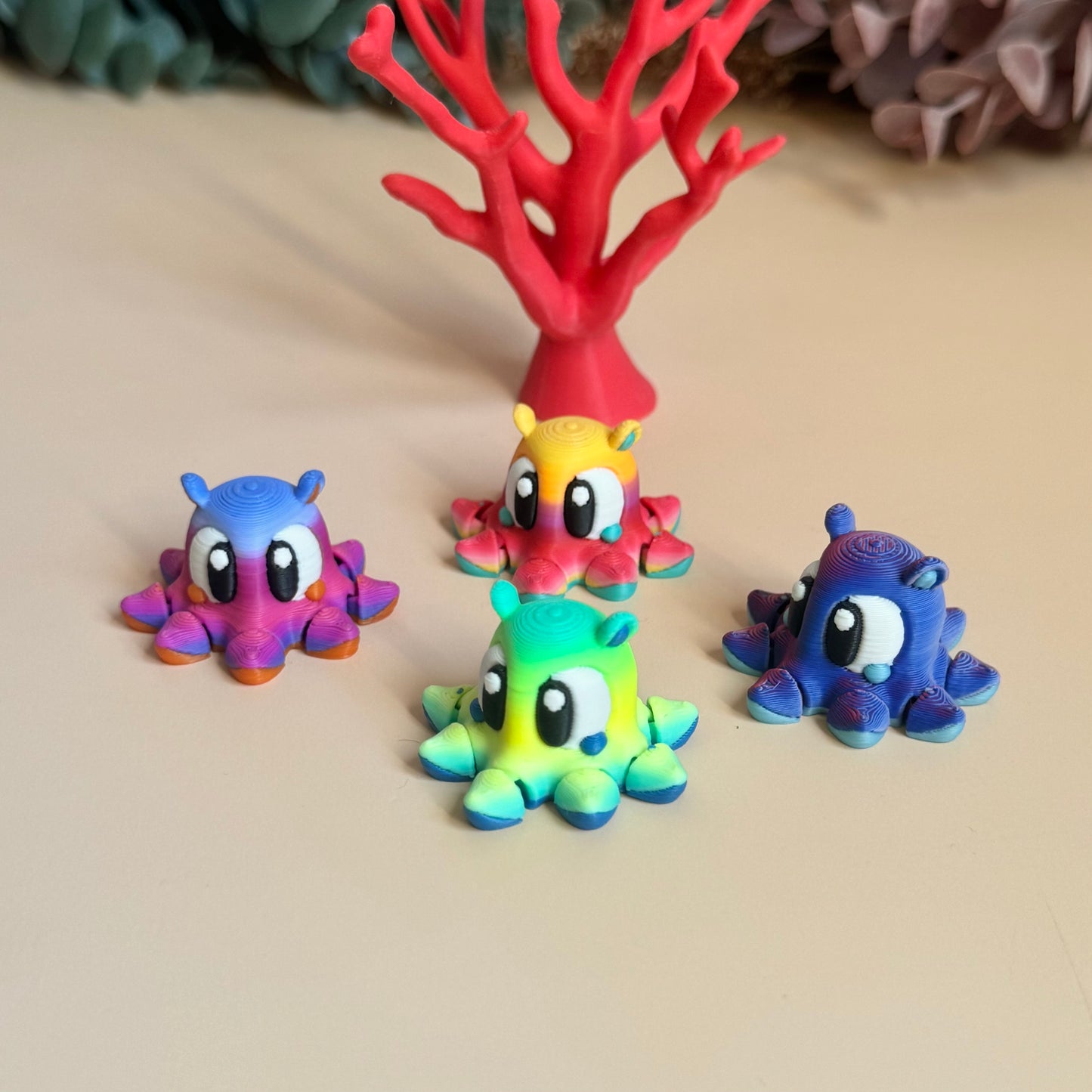 Mini Dumbo Octopus