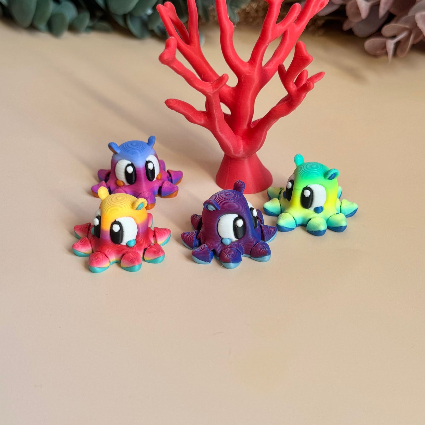 Mini Dumbo Octopus