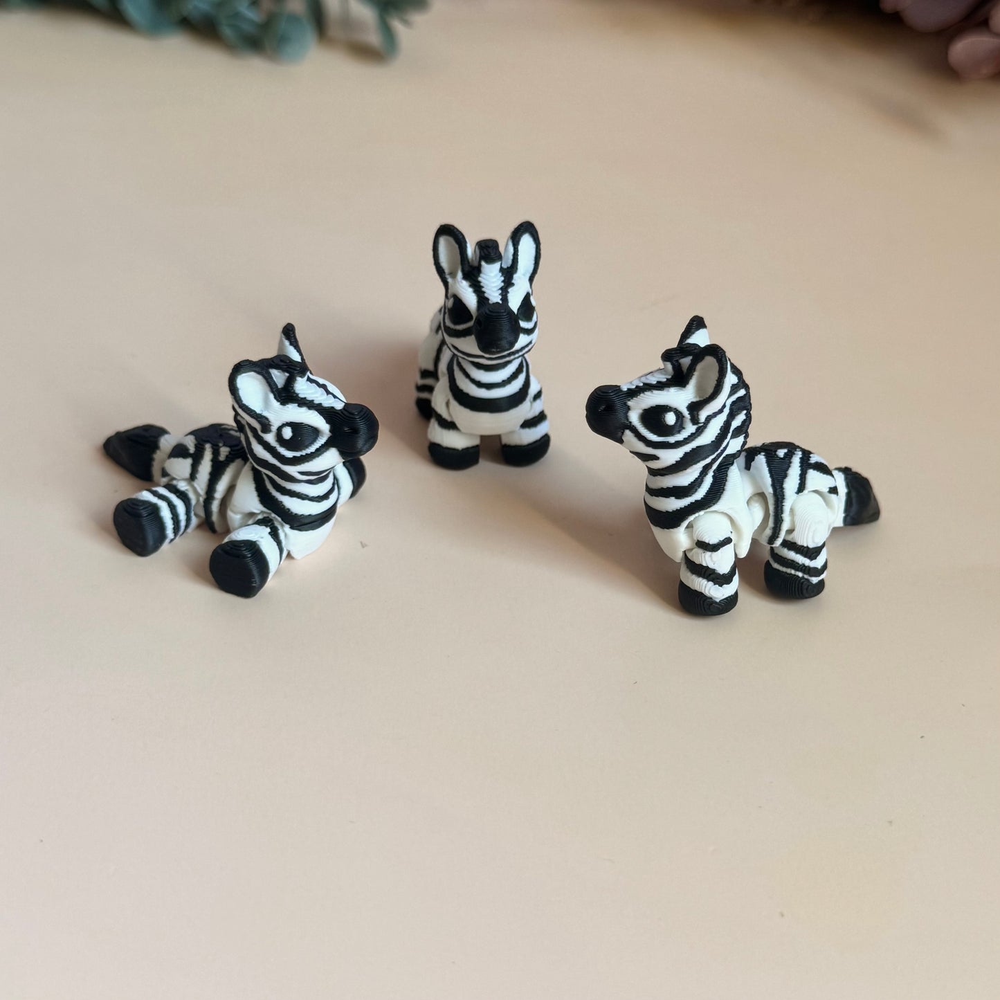 Mini Zebra