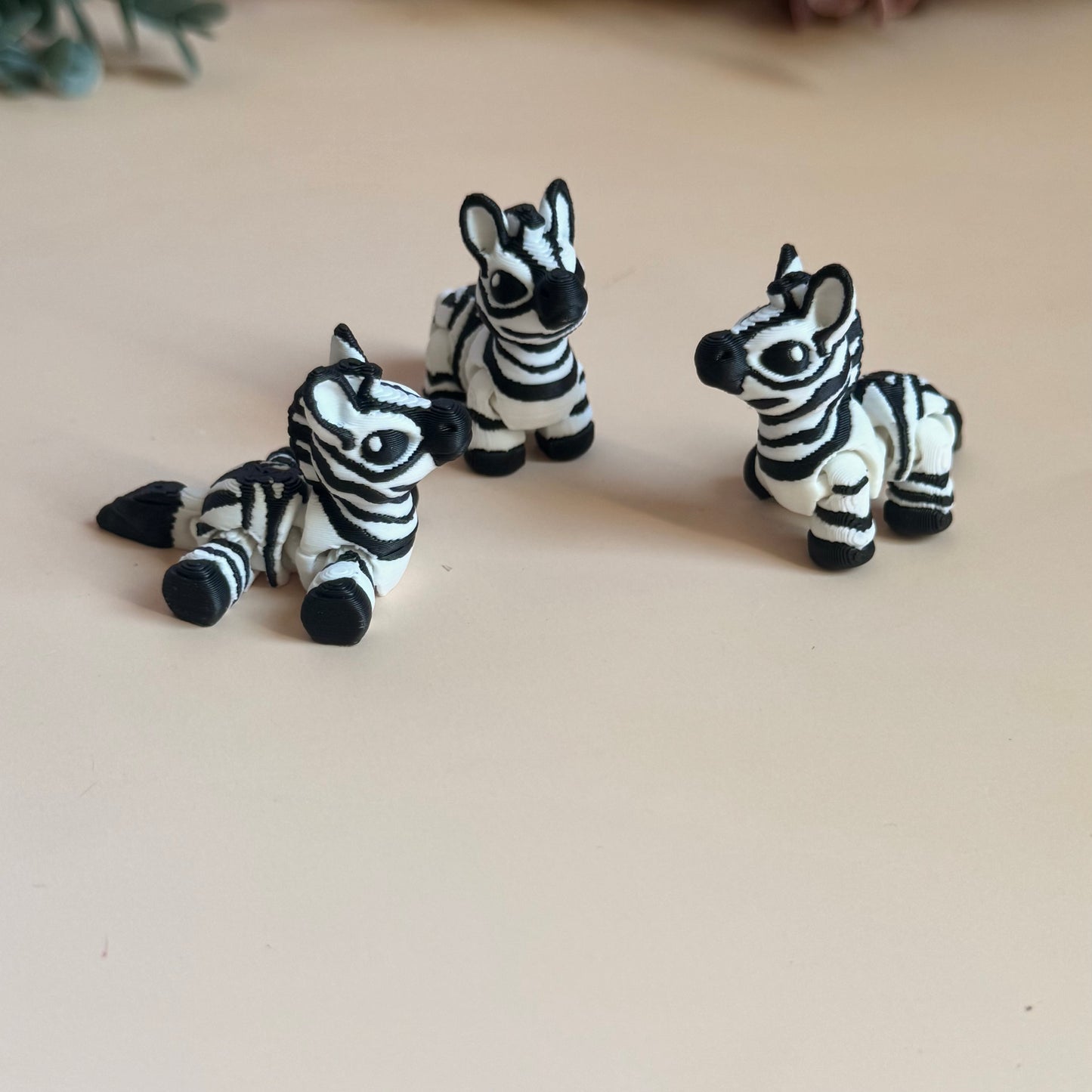 Mini Zebra