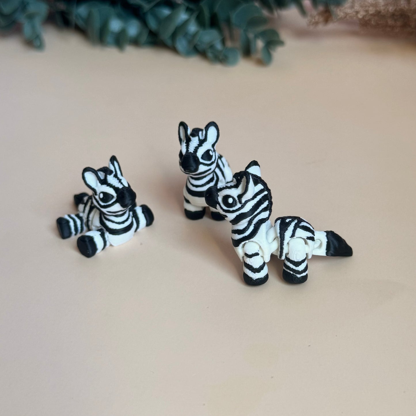 Mini Zebra