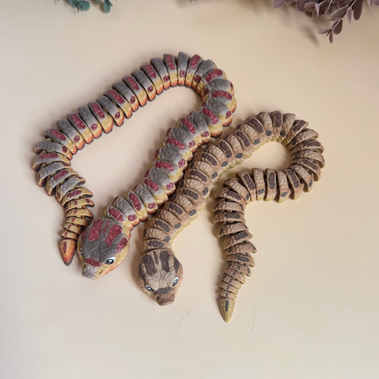 Hognose Snake