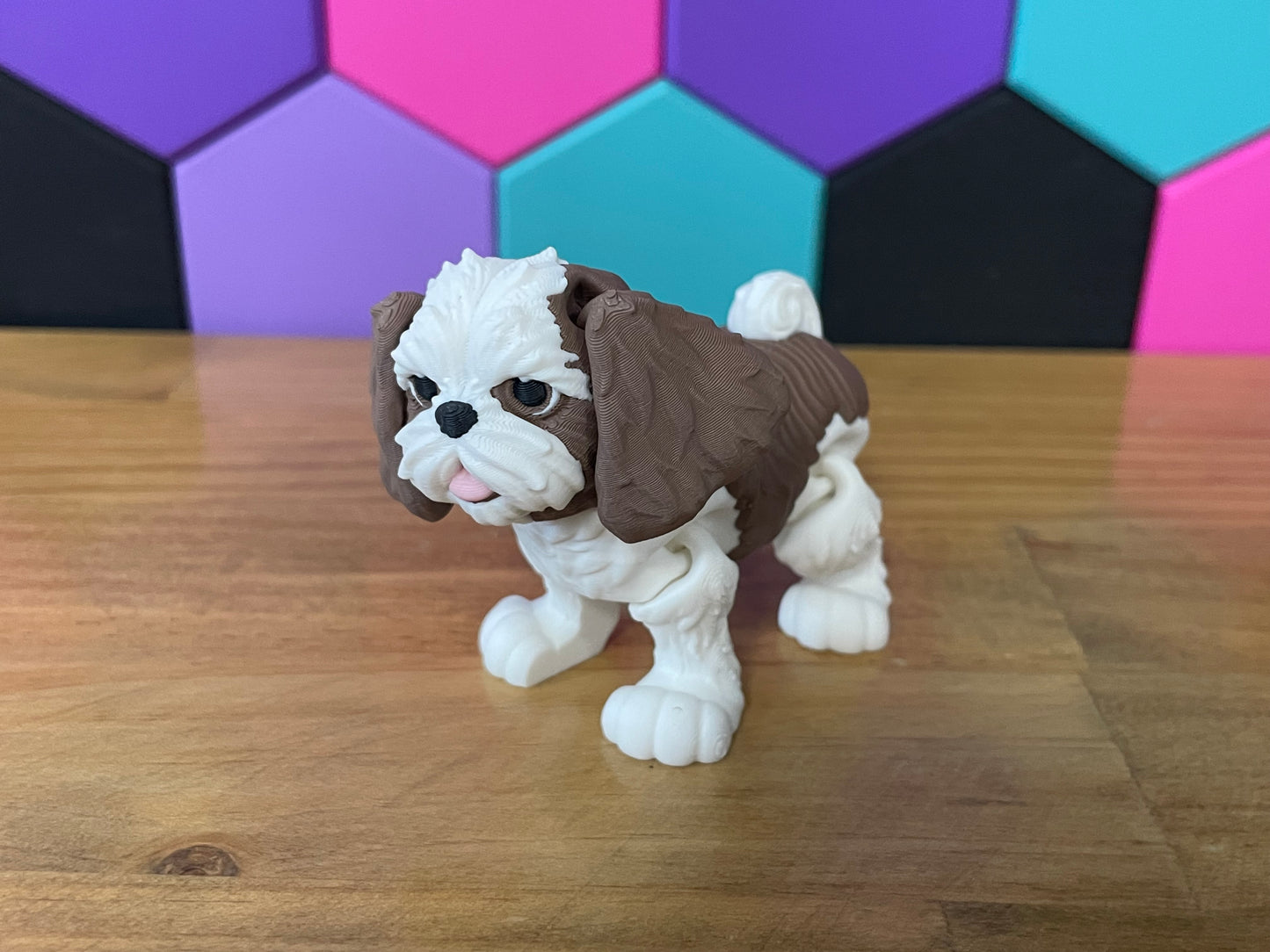 Shih Tzu Dog