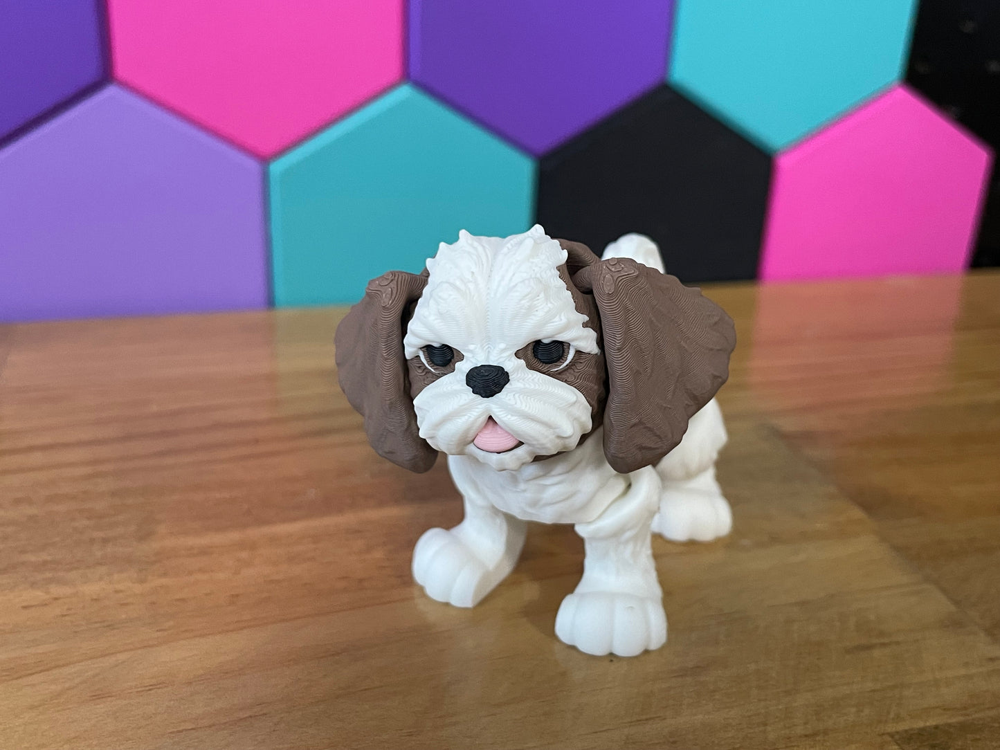 Shih Tzu Dog