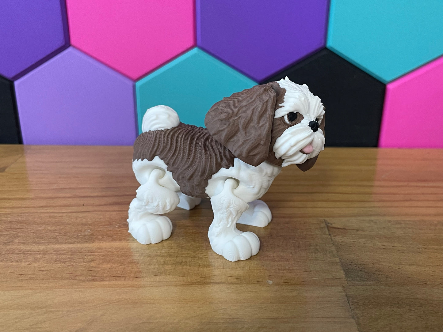 Shih Tzu Dog