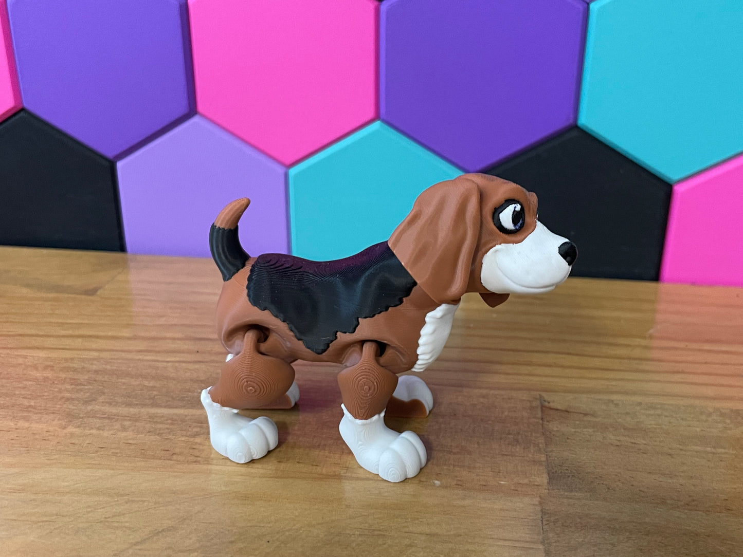 Beagle Dog