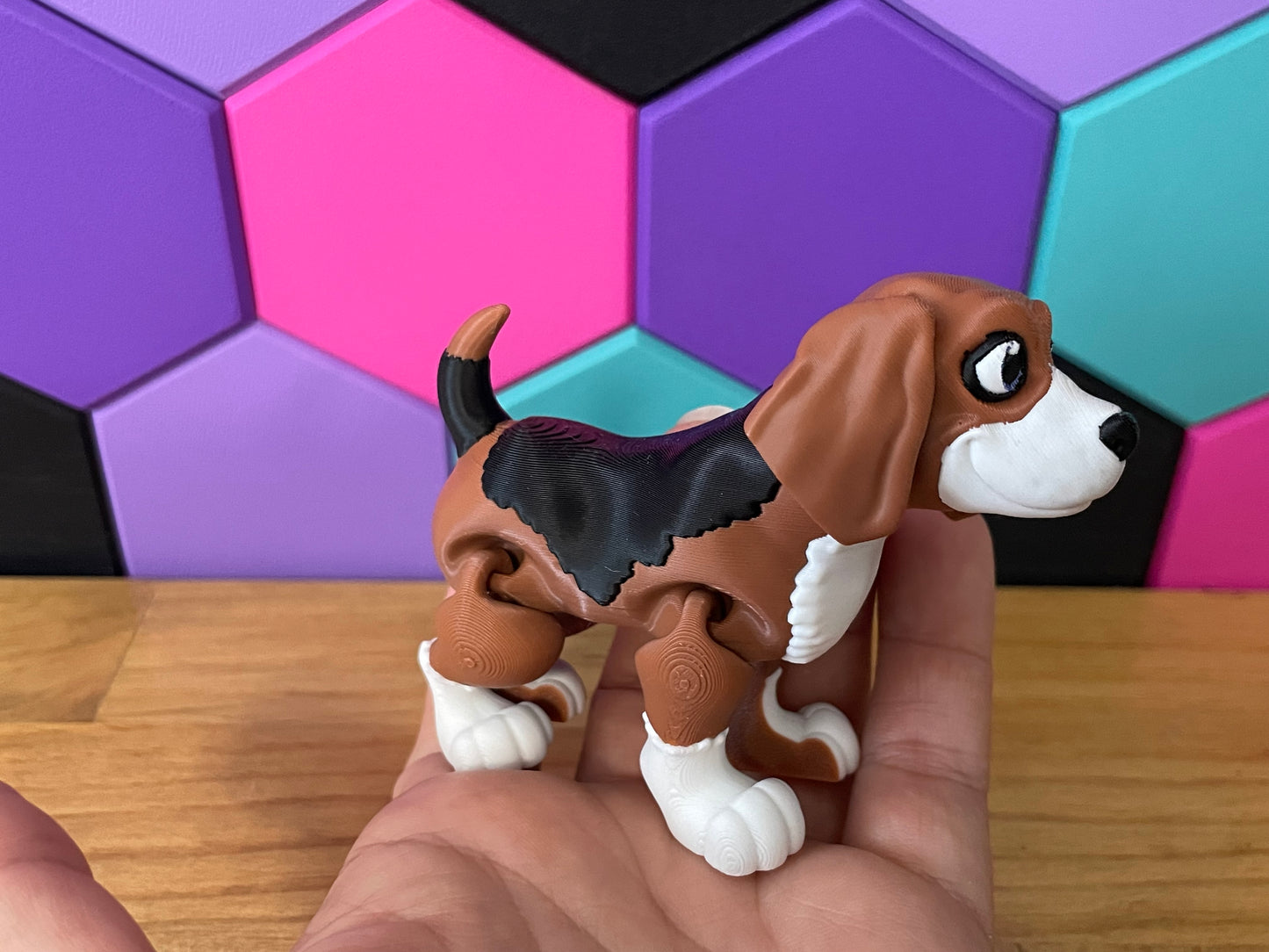 Beagle Dog