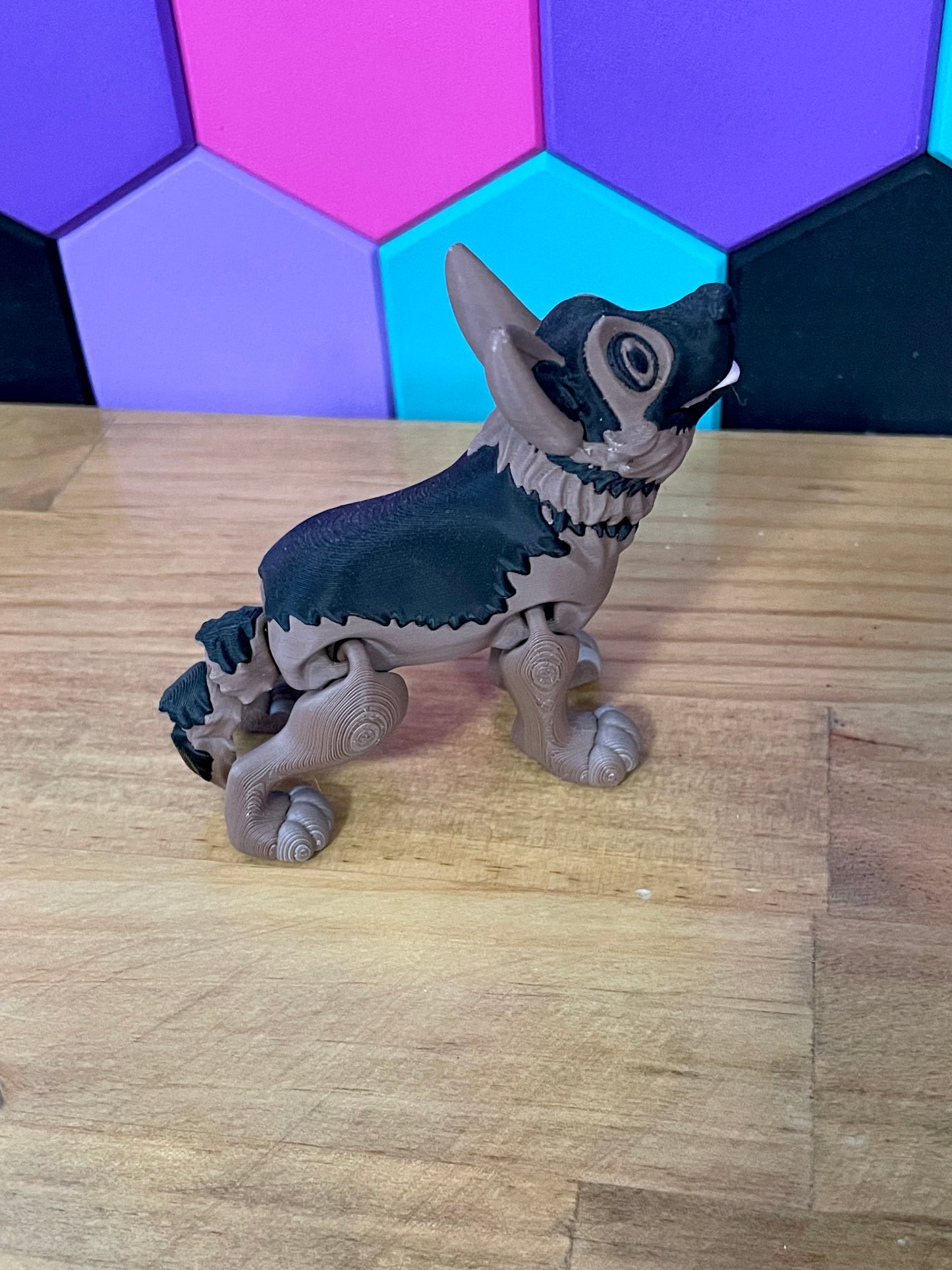 German Shepherd Flexi