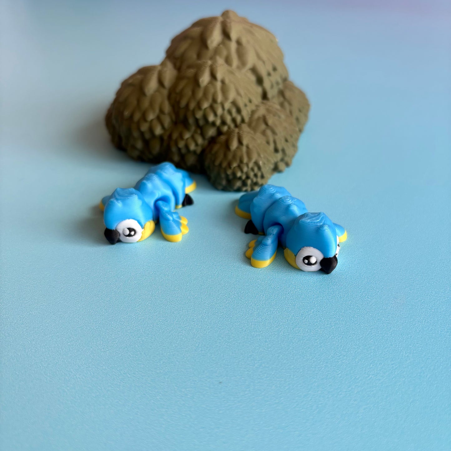 Mini Macaws
