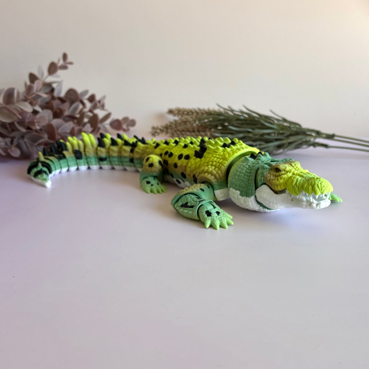 Saltwater Crocodile