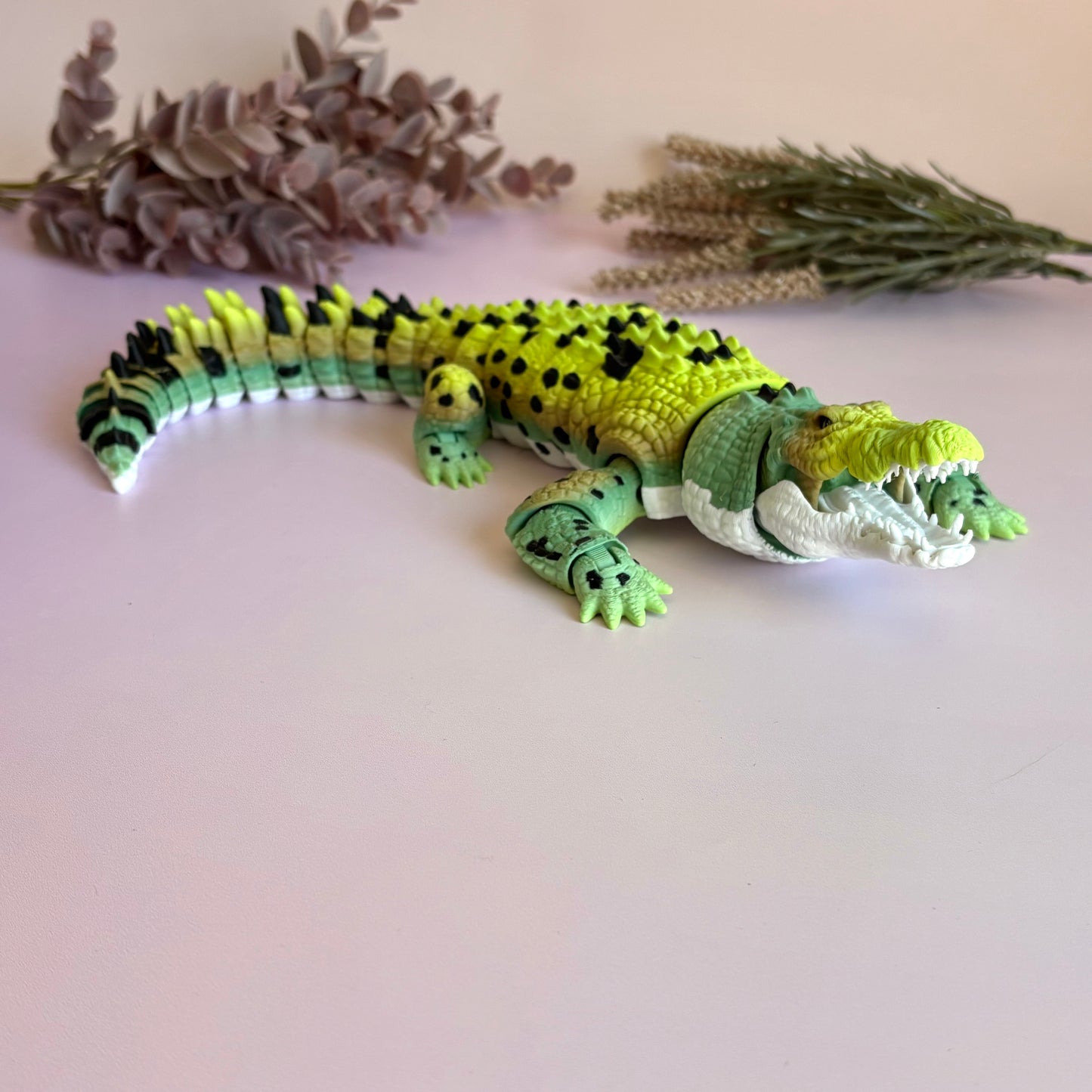 Saltwater Crocodile