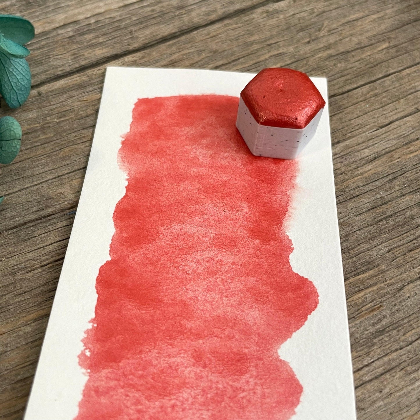 Watermelon Mica Watercolour Paint - Fantasy Forest 3D