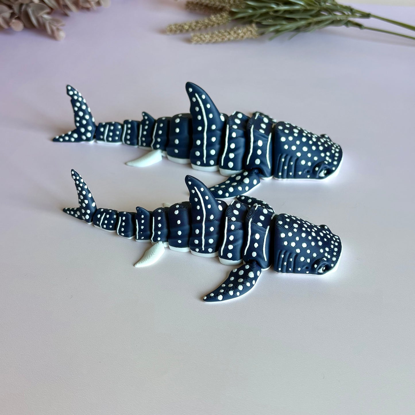 Whale Shark