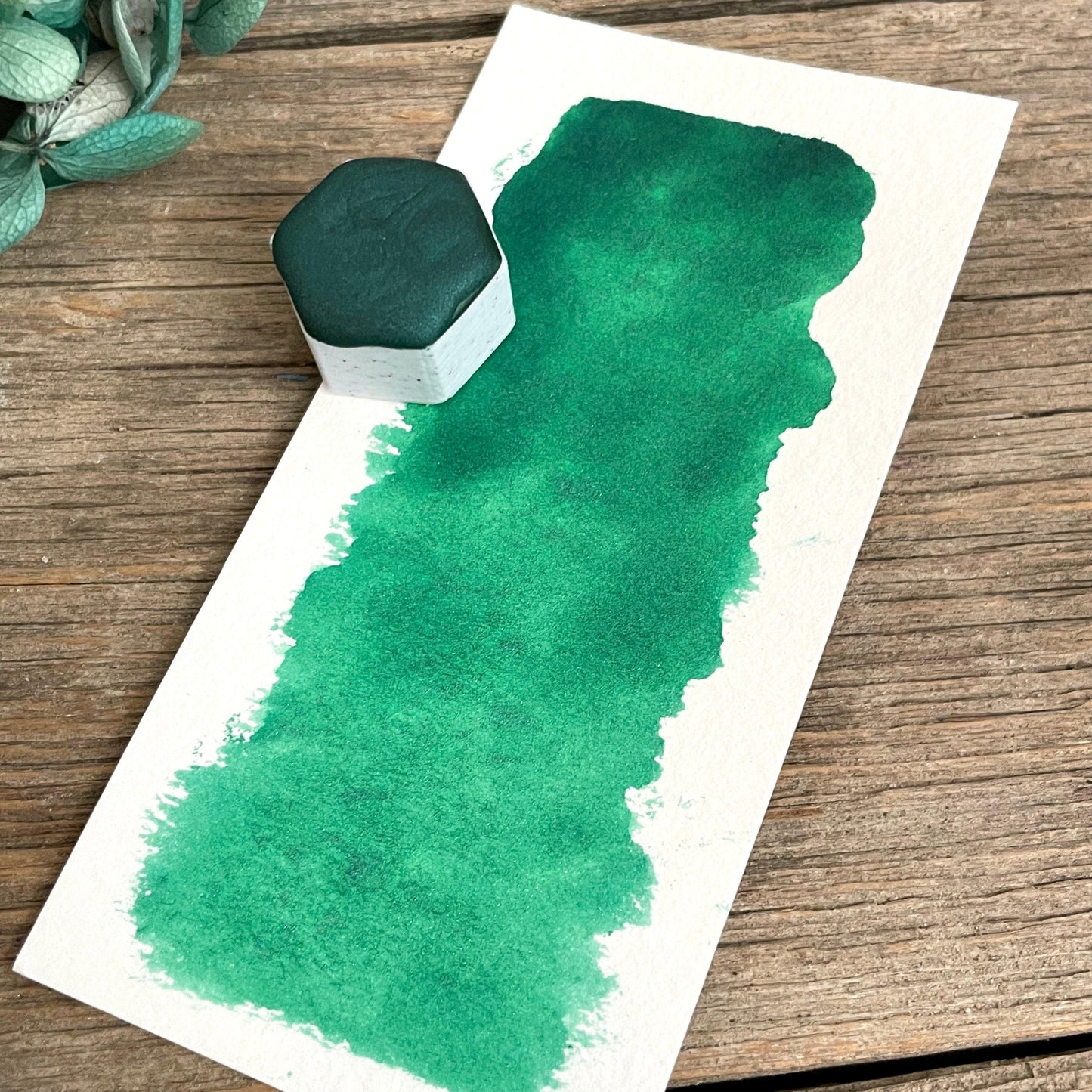 Dot Sample 'Waters Edge' Watercolour Paint - Fantasy Forest 3D