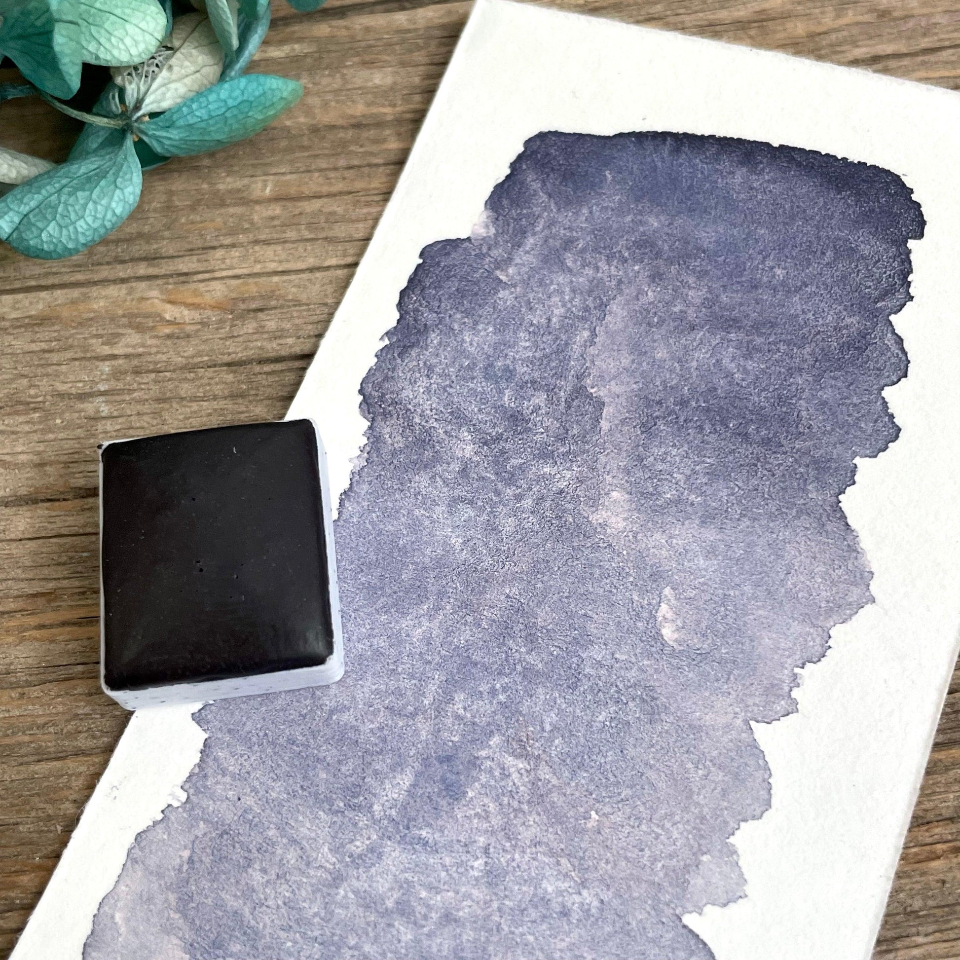 Nightshade Matte Watercolour Paint - Fantasy Forest 3D