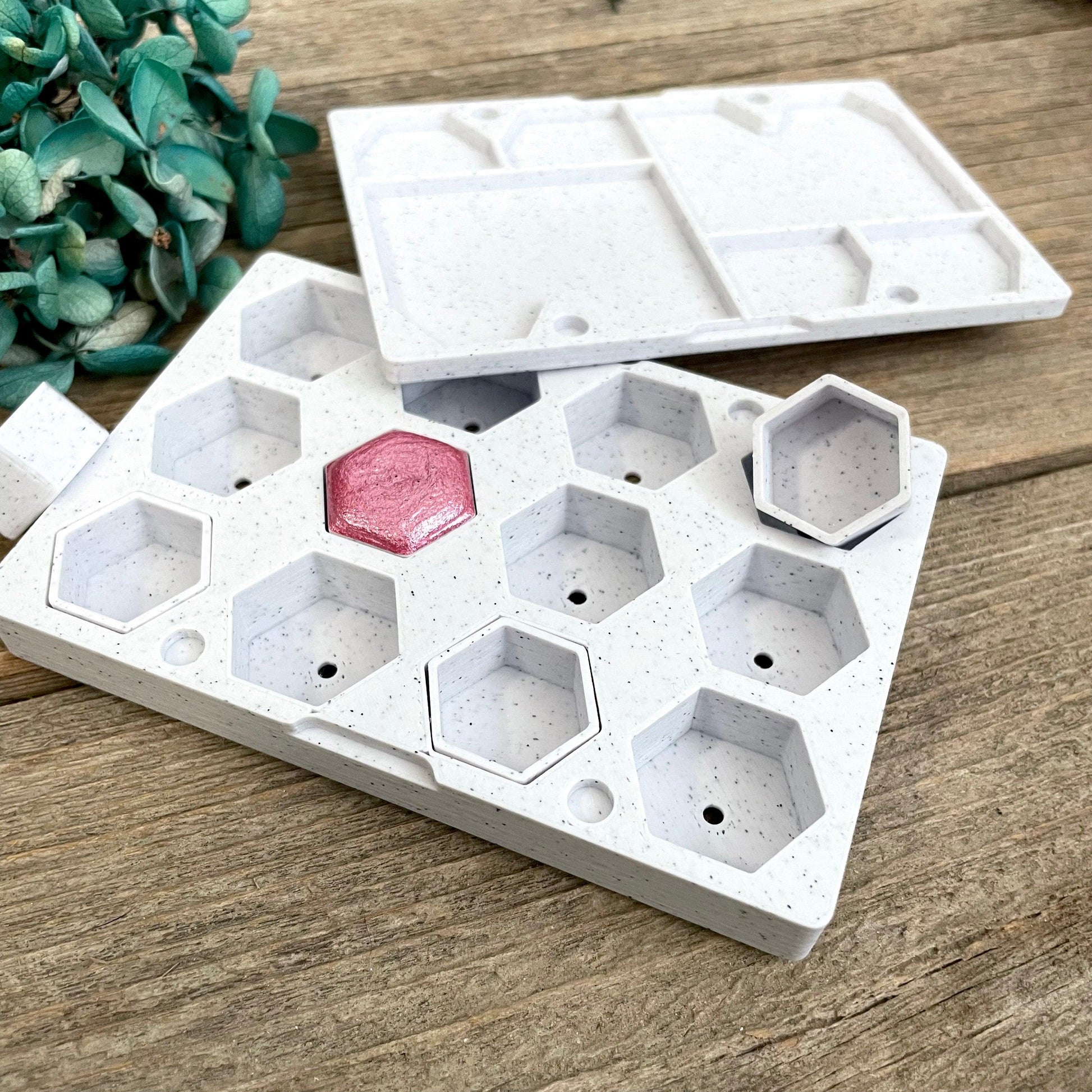 Medium Hexagon Pan Case - Fantasy Forest 3D