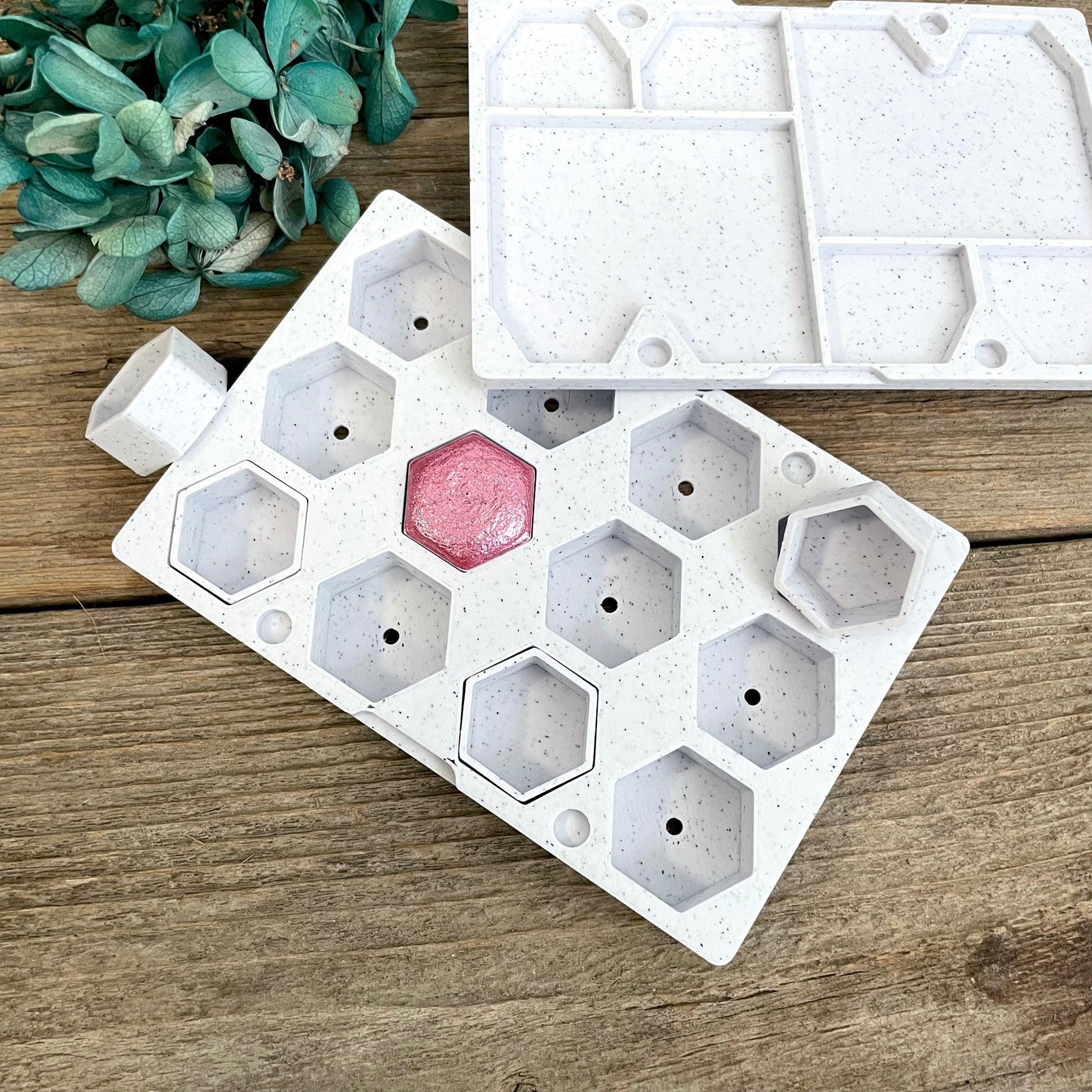 Medium Hexagon Pan Case - Fantasy Forest 3D