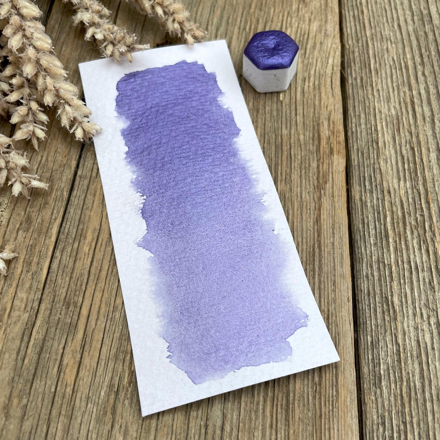Twilight Mica Shimmer Watercolour Paint - Fantasy Forest 3D