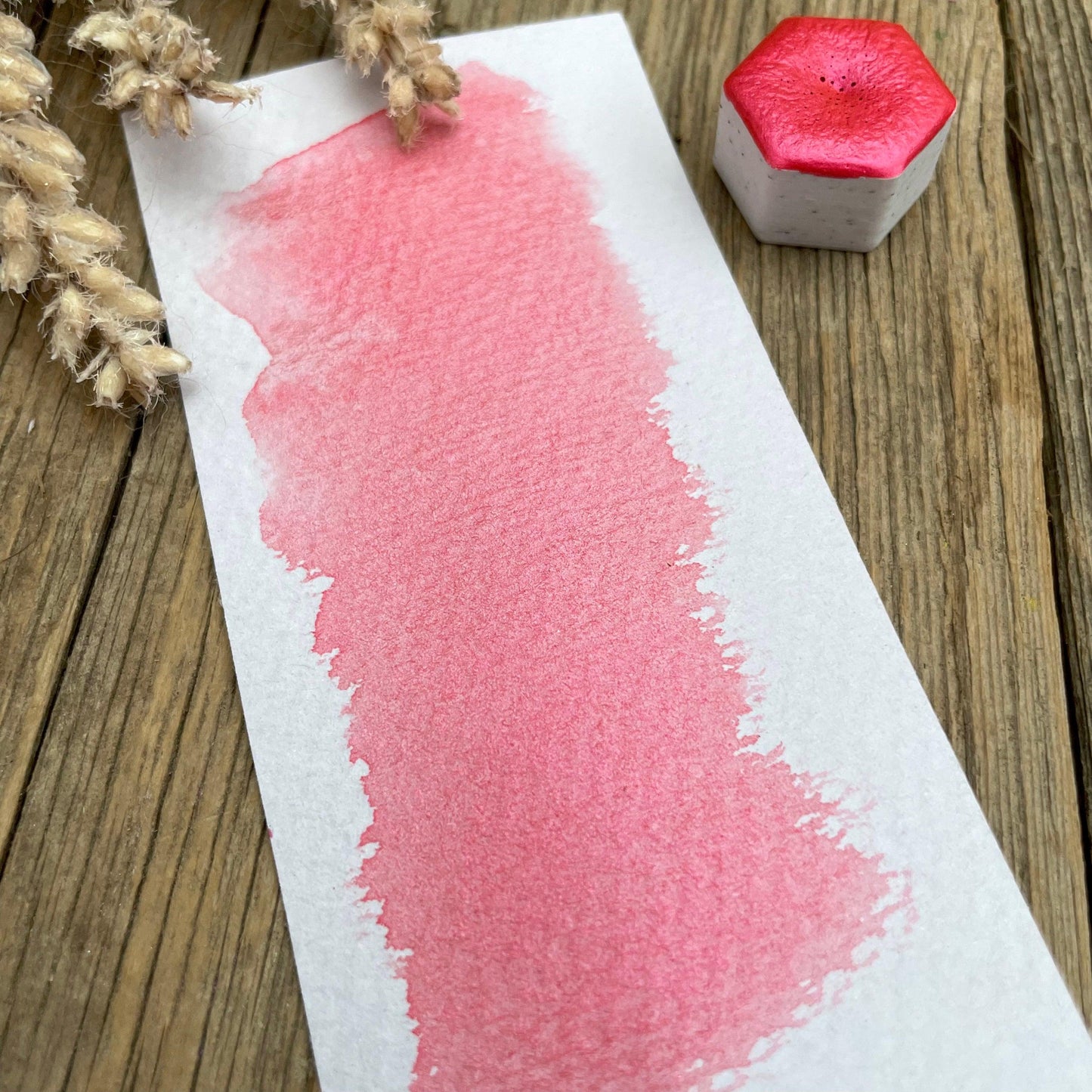 Coral Mica Shimmer Watercolour Paint - Fantasy Forest 3D