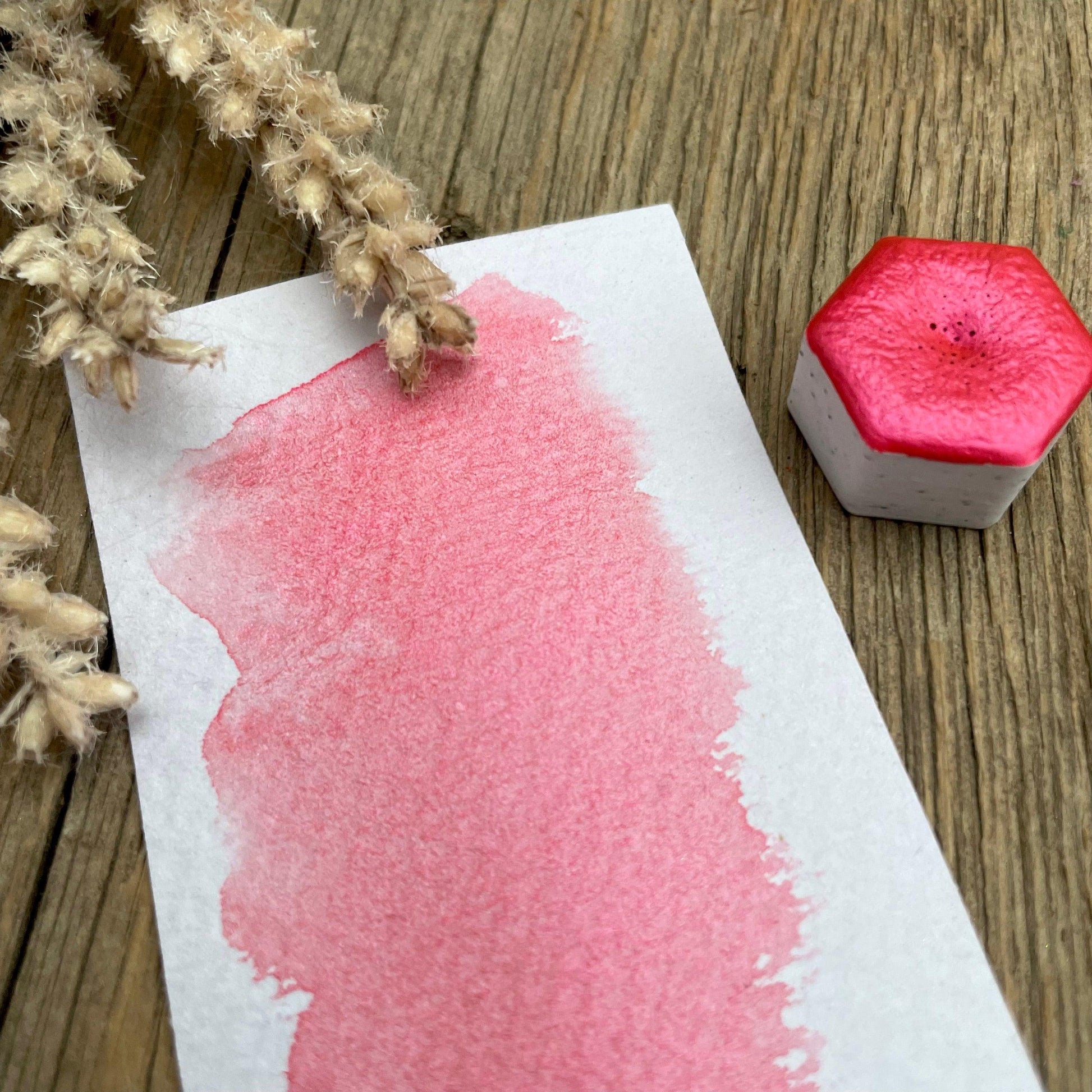 Coral Mica Shimmer Watercolour Paint - Fantasy Forest 3D