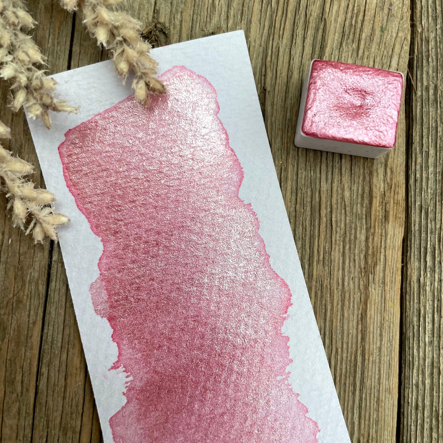 Blush Mica Shimmer Watercolour Paint - Fantasy Forest 3D