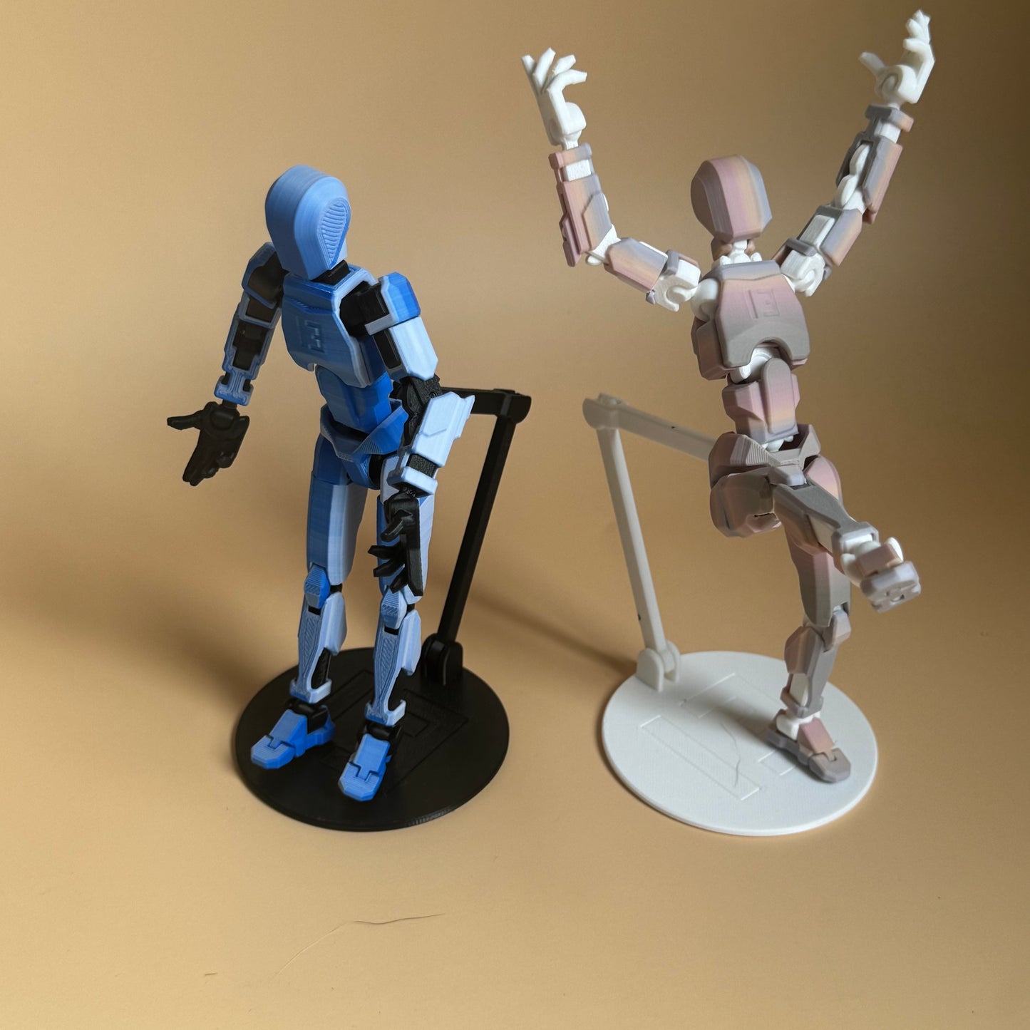 STAND for Dummy 13