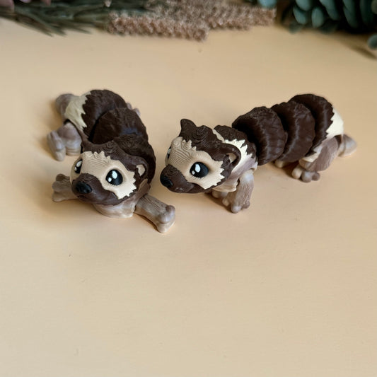 Forest Ferrets