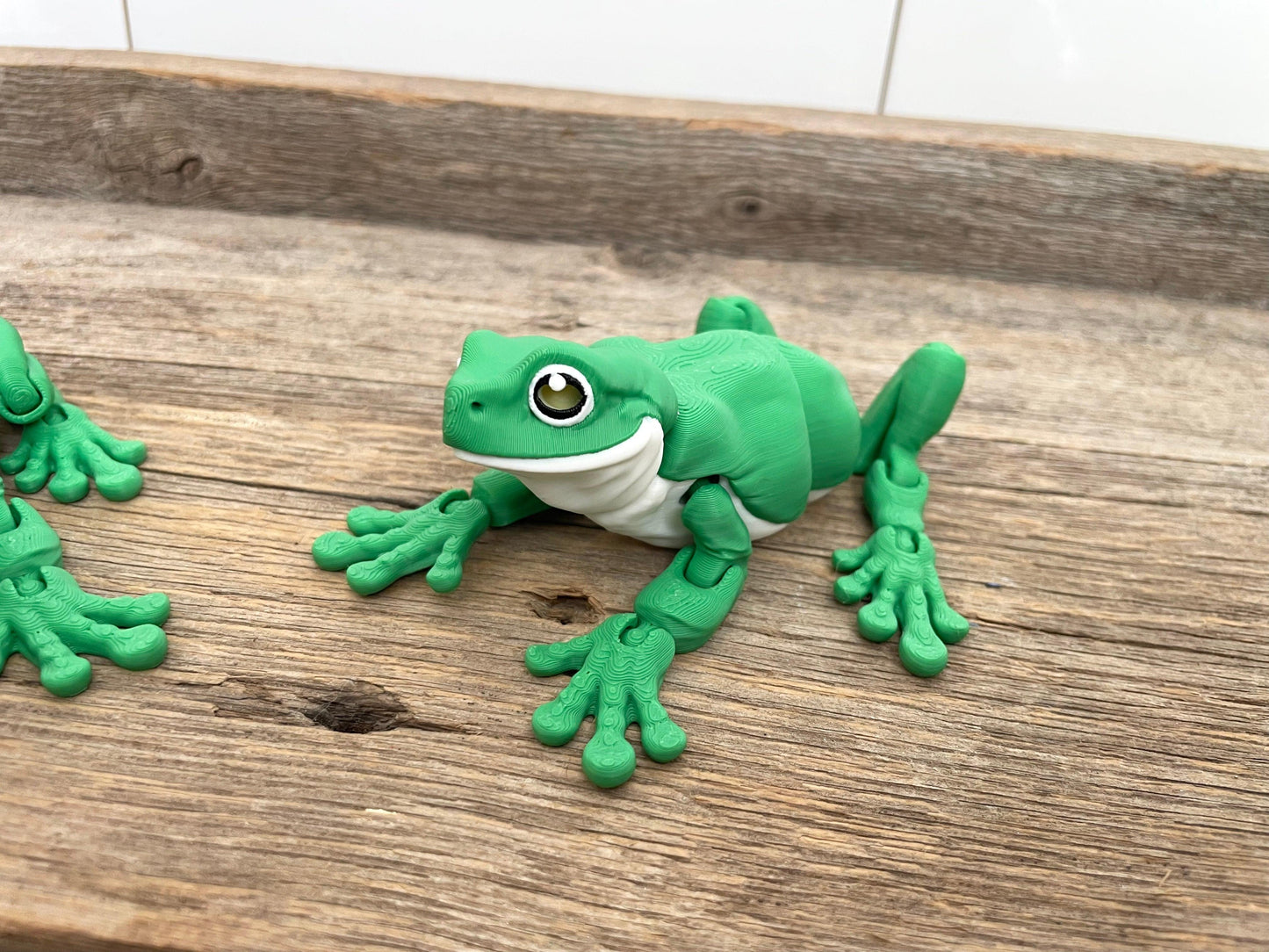 Green Tree Frog - Fantasy Forest 3D