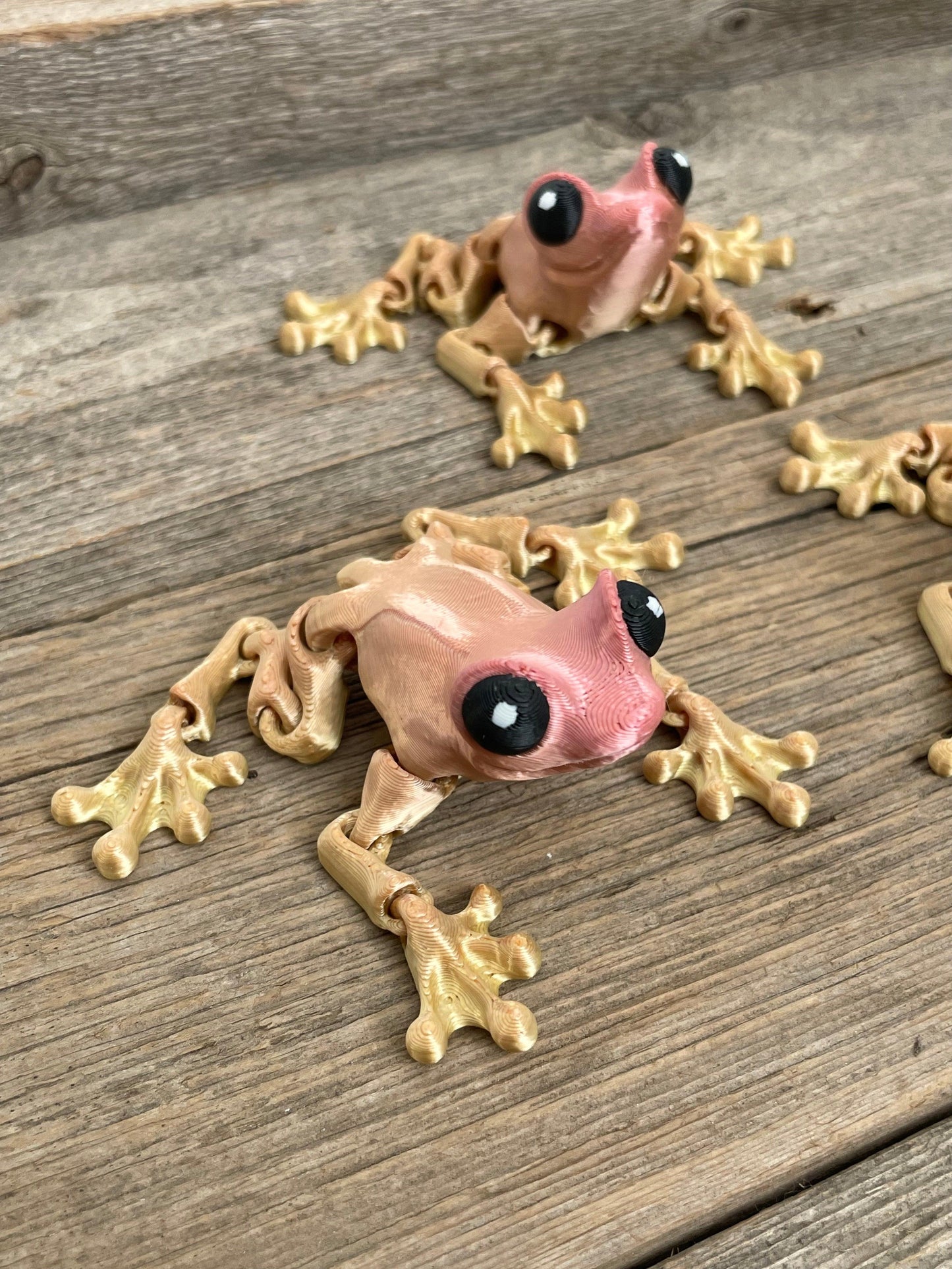 Frog Flexi - Fantasy Forest 3D