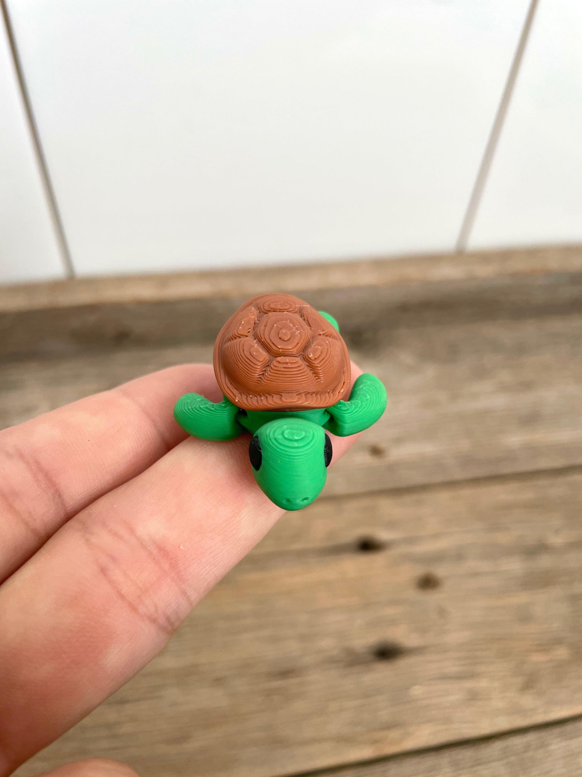 Mini Turtles - Fantasy Forest 3D