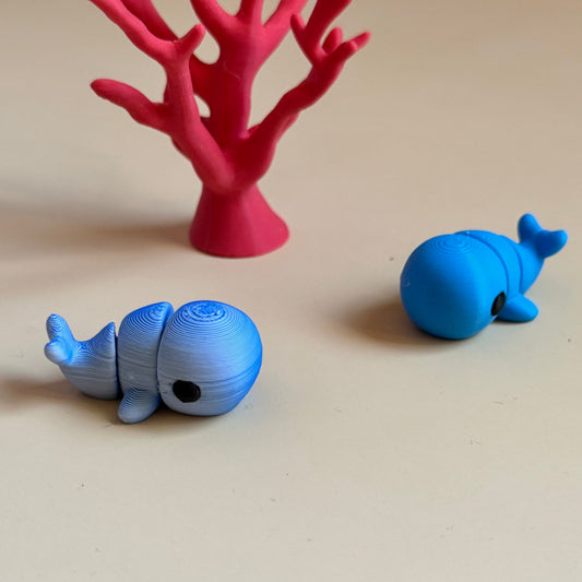 Mini Whale