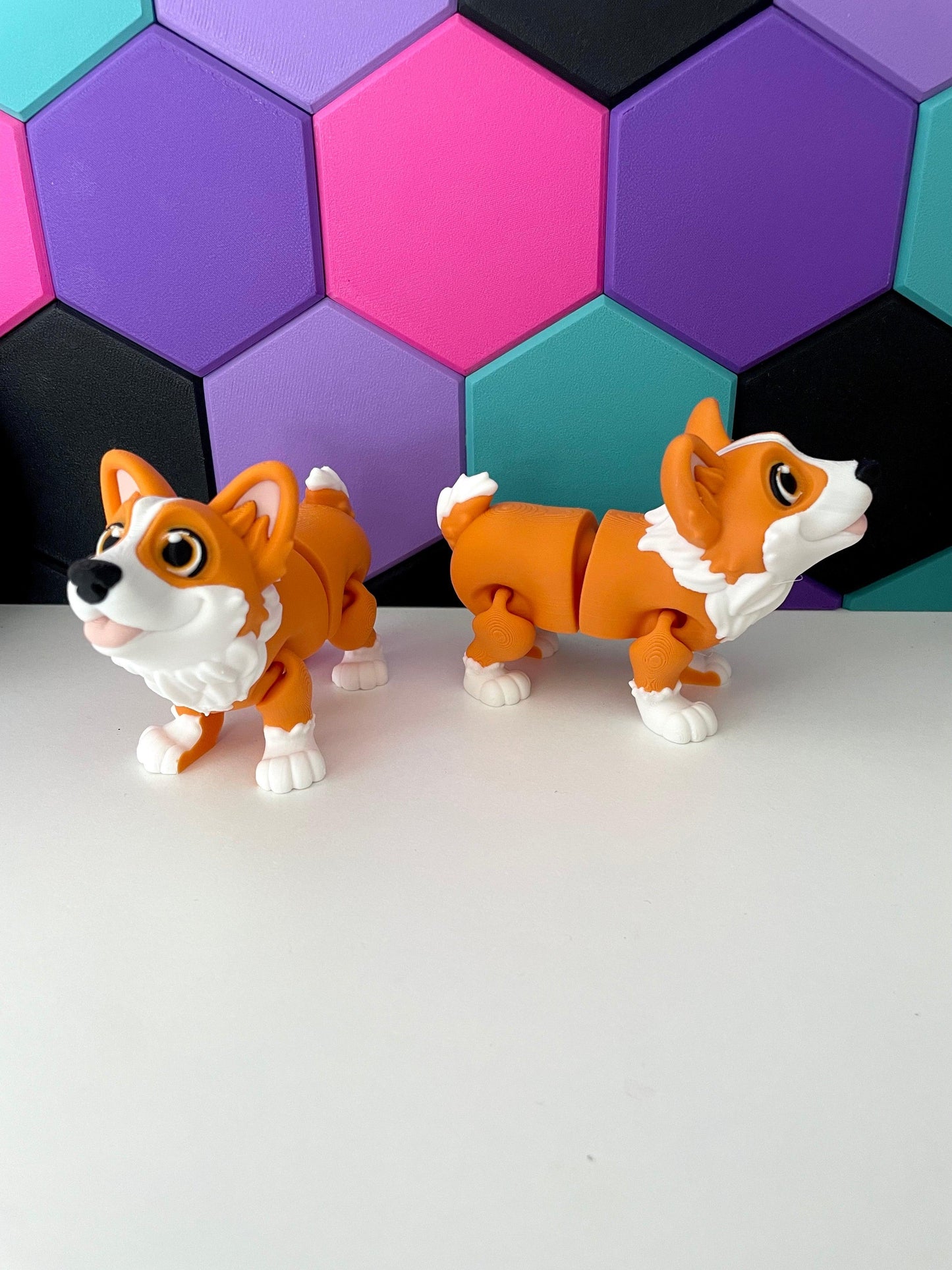 Corgi Dog - Fantasy Forest 3D