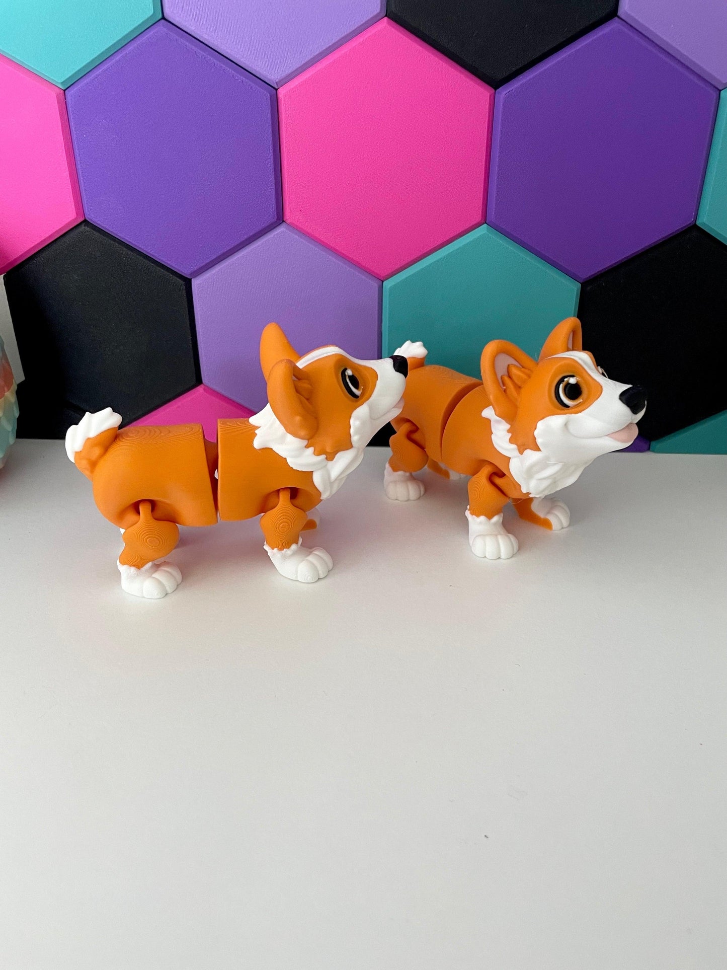 Corgi Dog - Fantasy Forest 3D