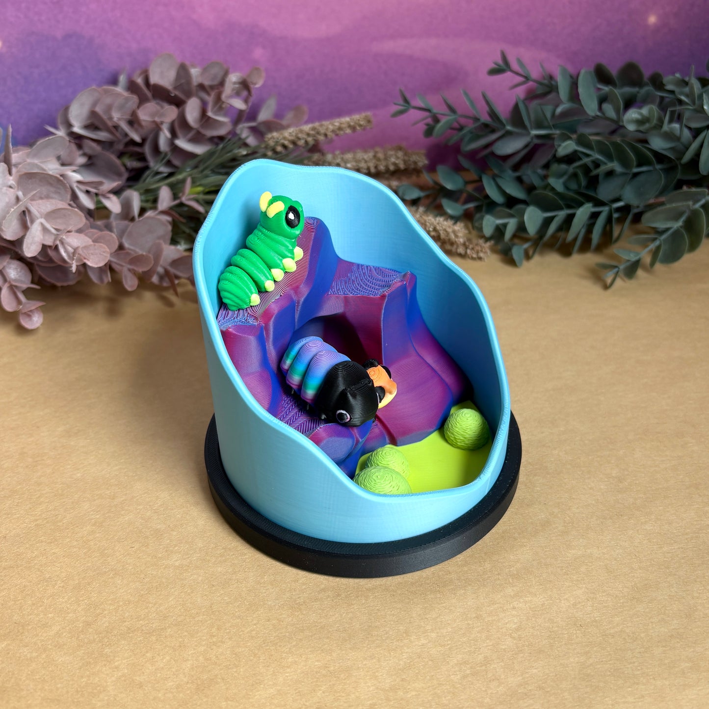 Bug Terrarium Habitat